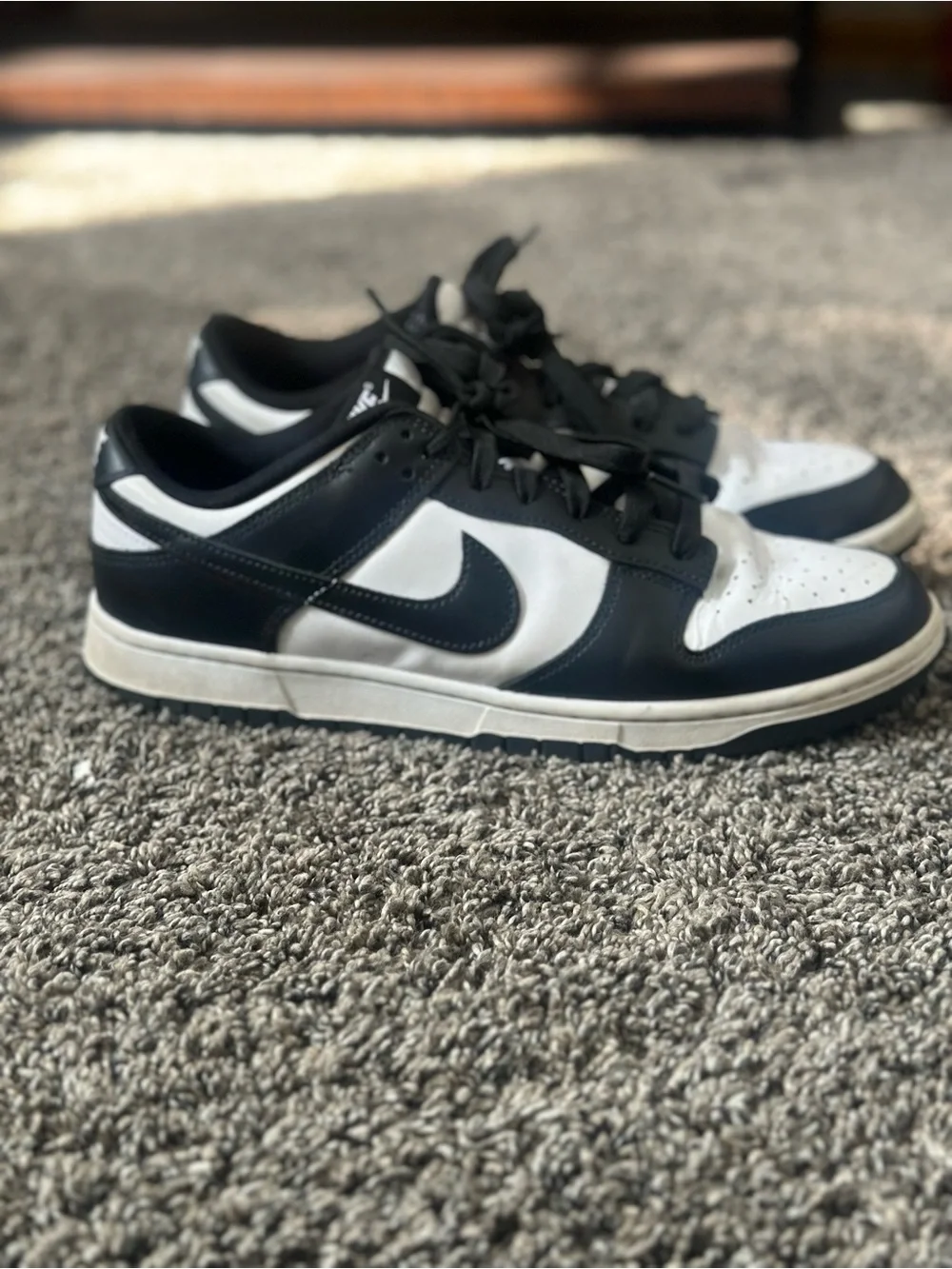 Nike Dunk Low Size 10.5 🔥 Used — Good Condition